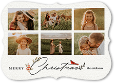 Bird and Holly Berry