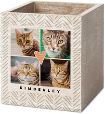 Playful Pattern Chevron