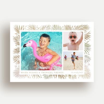 Tropical Tidings