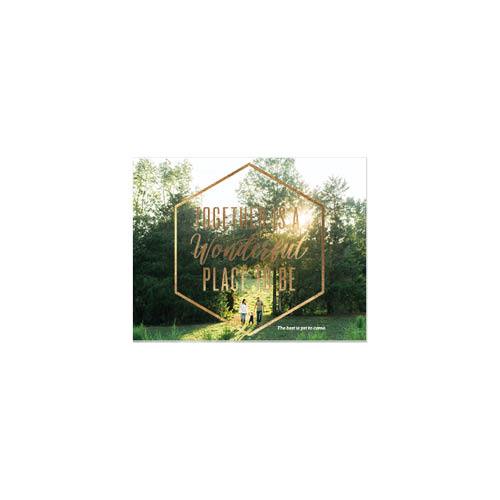 Gilded Marble 8x11 undefined  Premium Album