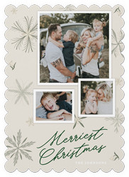 Botanical Snowflakes