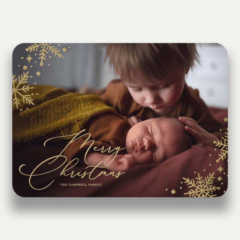Delicate Flakes Holiday Card