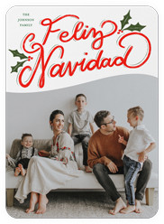 Vibrant Holly Greetings