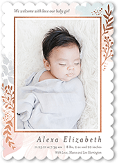 Illuminated Branches