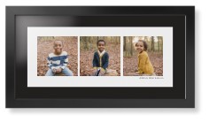 Panoramic Gallery of Three