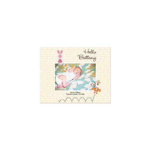 Disney Winnie the Pooh 8x11 undefined  Photo Book
