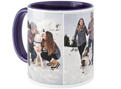 Pets Gallery of Three