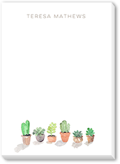 Potted Plants