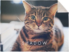 Pets Photo Gallery Horizontal