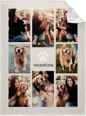 Pet Paw Collage