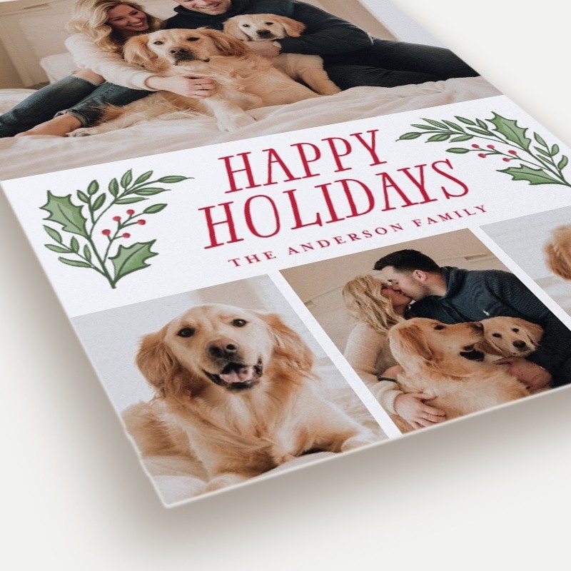 Holly Sprigs Holiday Card