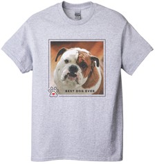 Best In Show Best Dog Ever