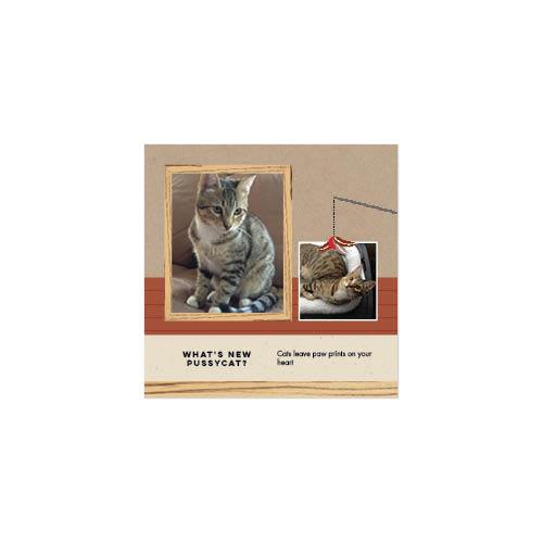 Four Legged Friends 12x12 undefined  Wall Calendar