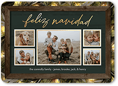 Rustic Evergreen Lights