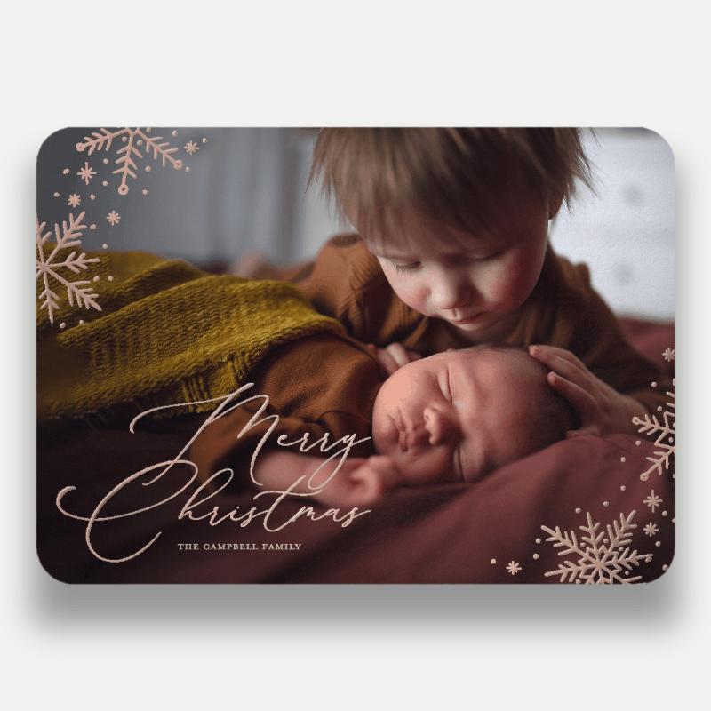 Delicate Flakes Holiday Card