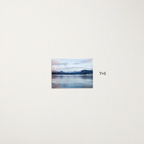 Online Photo Printing Standard Prints Online Photo Printing 5x7 undefined Standard Prints