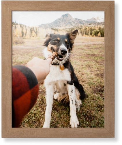 Framed Prints: Pet Photo Gallery Natural Contemporary Frame 16x20 1 Photo Shutterfly