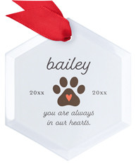 Pet Memorial Paw