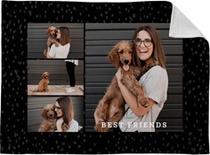 Gallery of Four Filmstrip