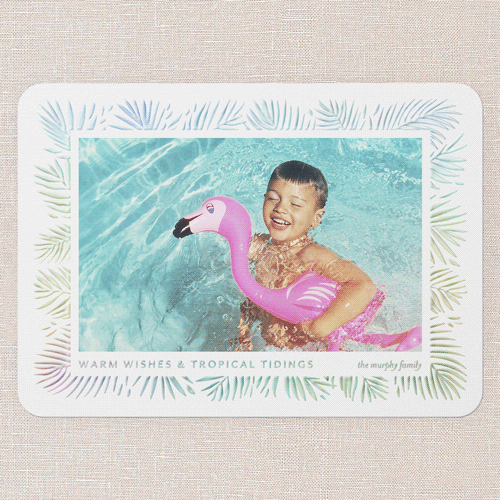Tropical Tidings