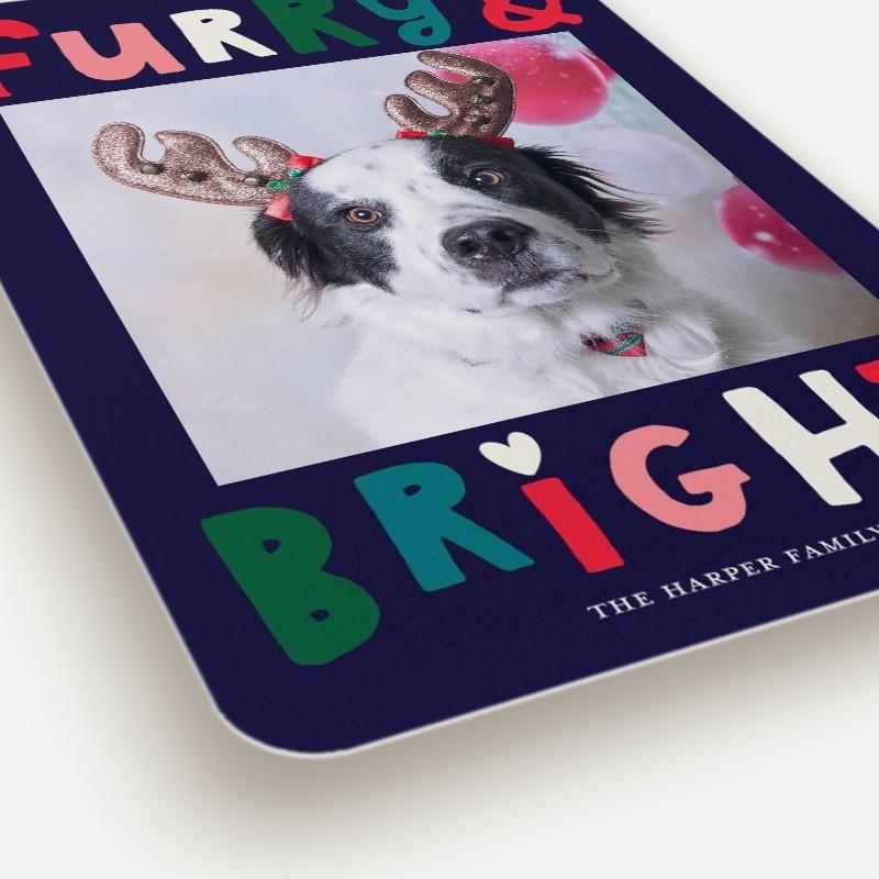 Furry Bright Holiday Card