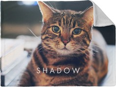 Pets Photo Gallery Horizontal