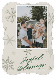 Botanical Snowflakes