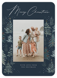 Winter Pines Frame