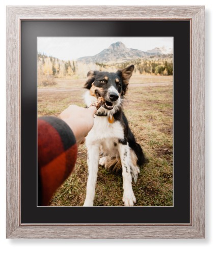 Pet Photo Gallery