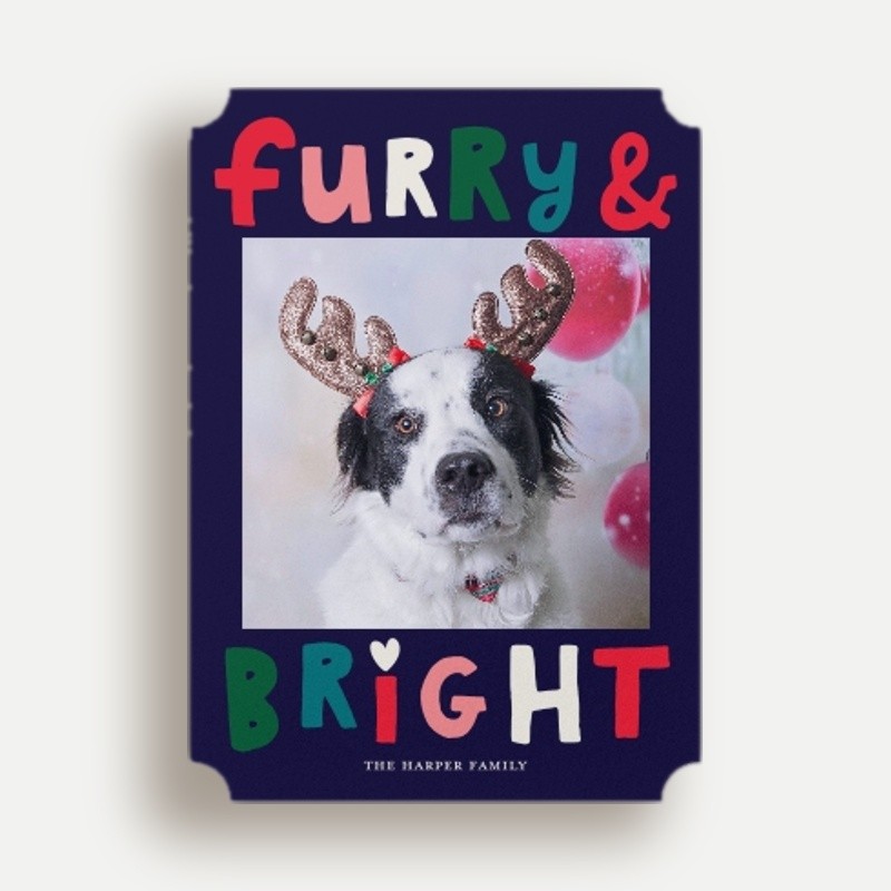 Furry Bright