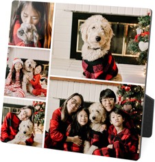 Gallery of Five Portrait