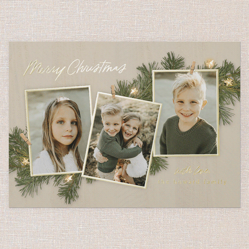 Festive Evergreen