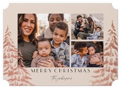 Peaceful Pine Prints