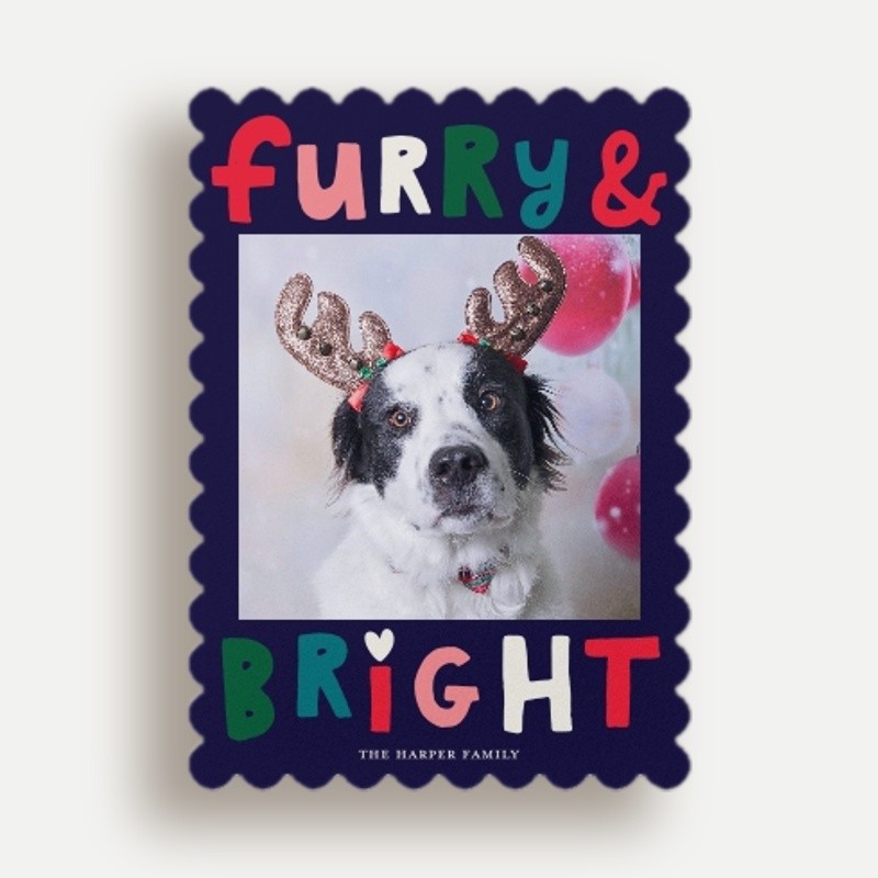 Furry Bright