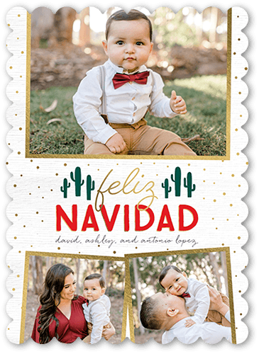 Speckled Succulent 5x7 White  Tarjeta de Navidad