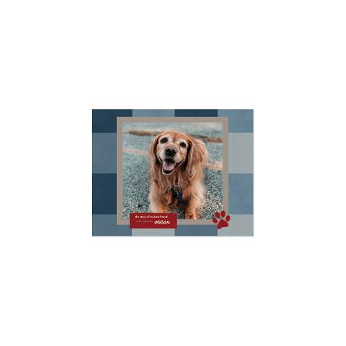 Best In Show 11x14 undefined  Premium Album