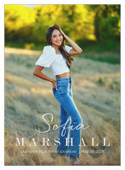 Handwritten Headline