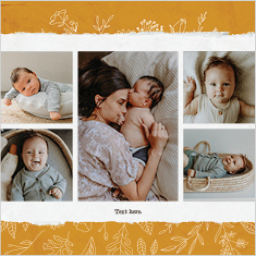 Seasonal Patterns Calendar 12x12 undefined  Wall Calendar