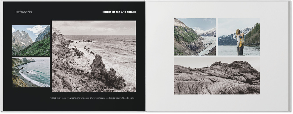 Professional Portfolio 8x11 undefined  Photo Book