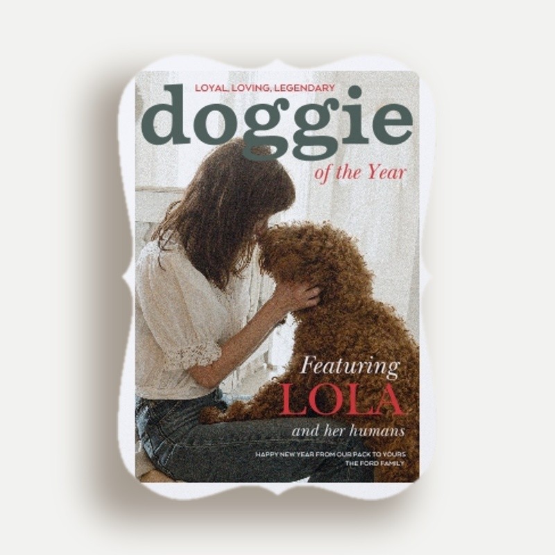 Leanne Ford Cover Pup