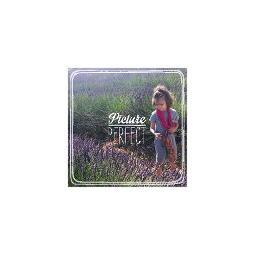Endless Summer 8x8 undefined  Premium Album