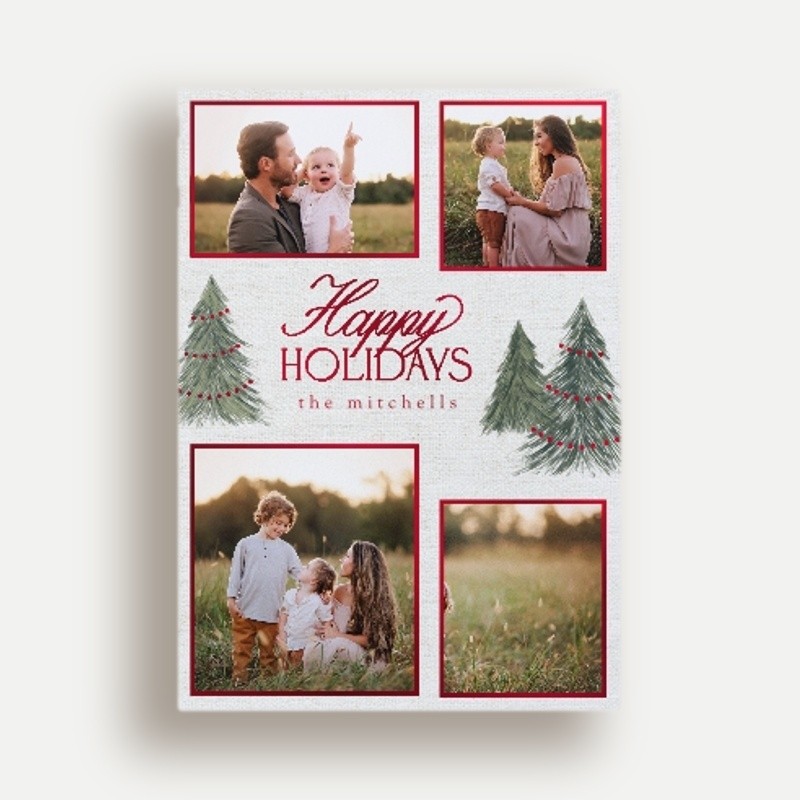 Elegant Pines