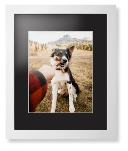 Pet Photo Gallery
