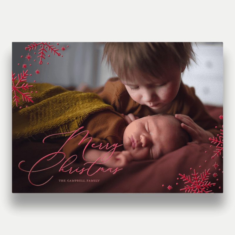 Delicate Flakes Holiday Card