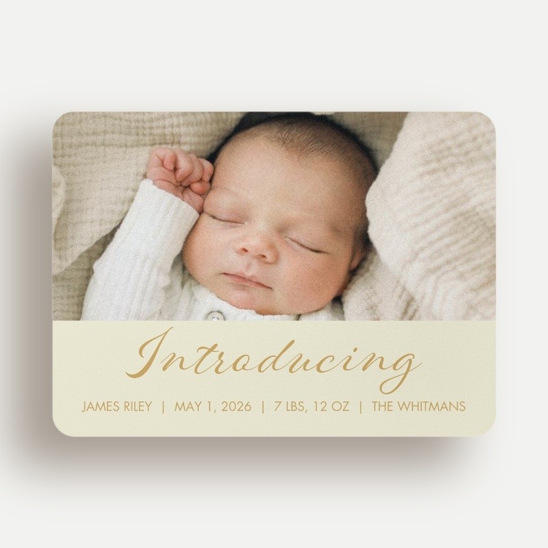Softly Introducing