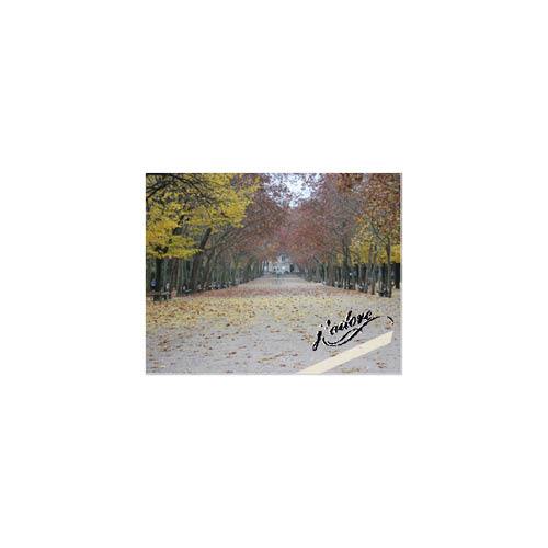 Passport to Europe 8x11 undefined  Premium Album