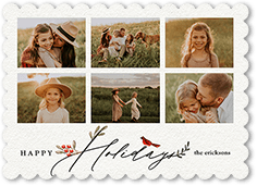 Bird and Holly Berry