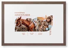 Favorite Infographic​