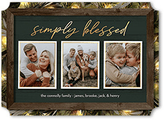 Rustic Evergreen Lights