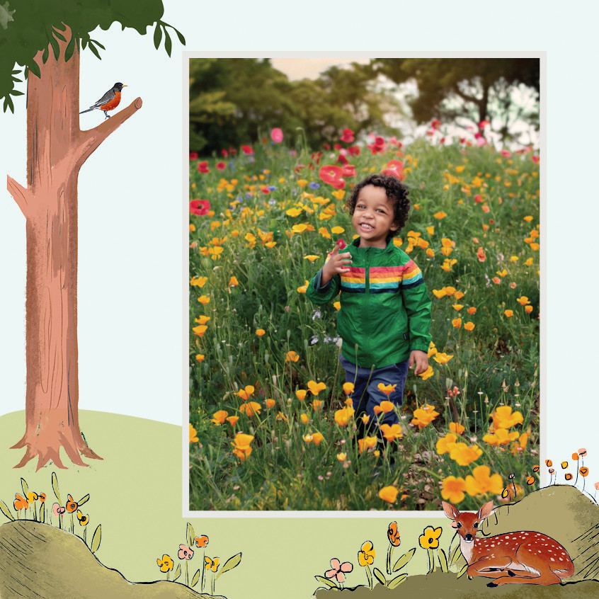 Storybook Seasons Calendar 12x12 undefined  Wall Calendar